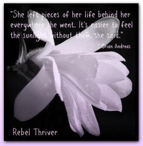 935097_453837138031714_1626971181_n